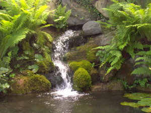 [Bild: sprudelnde Quelle]